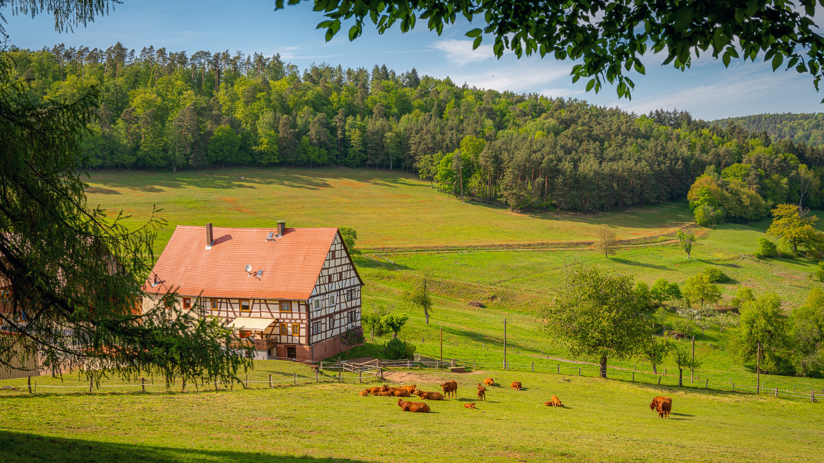 Casa Campestre el Remanso